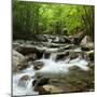 USA, Tennessee, Great Smoky Mountains National Park. Little Pigeon River at Greenbrier-Ann Collins-Mounted Premium Photographic Print