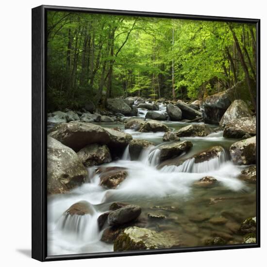 USA, Tennessee, Great Smoky Mountains National Park. Little Pigeon River at Greenbrier-Ann Collins-Framed Photographic Print