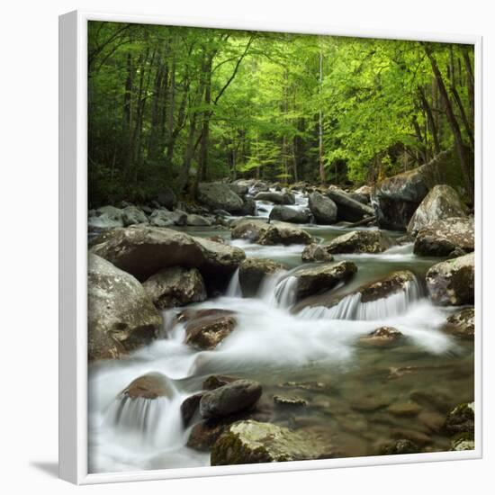 USA, Tennessee, Great Smoky Mountains National Park. Little Pigeon River at Greenbrier-Ann Collins-Framed Photographic Print