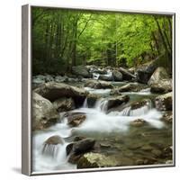 USA, Tennessee, Great Smoky Mountains National Park. Little Pigeon River at Greenbrier-Ann Collins-Framed Photographic Print