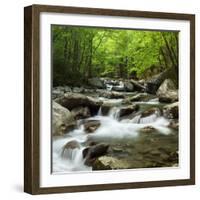 USA, Tennessee, Great Smoky Mountains National Park. Little Pigeon River at Greenbrier-Ann Collins-Framed Photographic Print