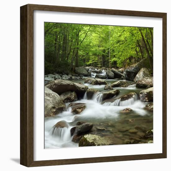 USA, Tennessee, Great Smoky Mountains National Park. Little Pigeon River at Greenbrier-Ann Collins-Framed Photographic Print