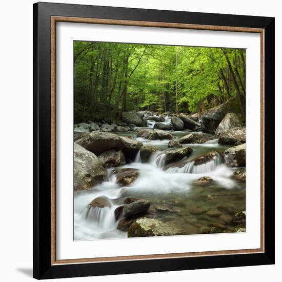 USA, Tennessee, Great Smoky Mountains National Park. Little Pigeon River at Greenbrier-Ann Collins-Framed Photographic Print