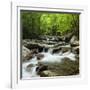 USA, Tennessee, Great Smoky Mountains National Park. Little Pigeon River at Greenbrier-Ann Collins-Framed Photographic Print