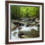 USA, Tennessee, Great Smoky Mountains National Park. Little Pigeon River at Greenbrier-Ann Collins-Framed Photographic Print