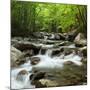 USA, Tennessee, Great Smoky Mountains National Park. Little Pigeon River at Greenbrier-Ann Collins-Mounted Photographic Print