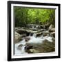 USA, Tennessee, Great Smoky Mountains National Park. Little Pigeon River at Greenbrier-Ann Collins-Framed Photographic Print