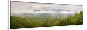 USA, Tennessee, Great Smoky Mountains National Park. Misty Morning Panoramic-Jaynes Gallery-Framed Photographic Print