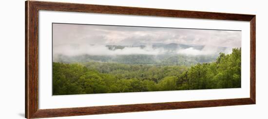 USA, Tennessee, Great Smoky Mountains National Park. Misty Morning Panoramic-Jaynes Gallery-Framed Photographic Print