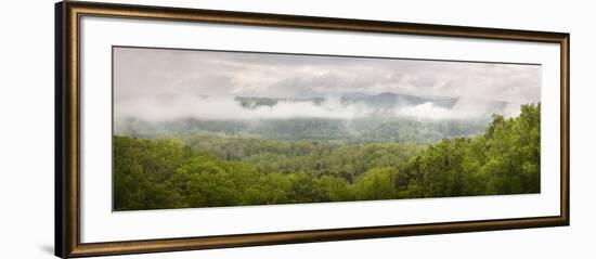 USA, Tennessee, Great Smoky Mountains National Park. Misty Morning Panoramic-Jaynes Gallery-Framed Photographic Print