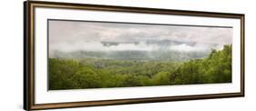 USA, Tennessee, Great Smoky Mountains National Park. Misty Morning Panoramic-Jaynes Gallery-Framed Photographic Print