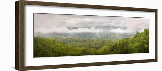 USA, Tennessee, Great Smoky Mountains National Park. Misty Morning Panoramic-Jaynes Gallery-Framed Photographic Print