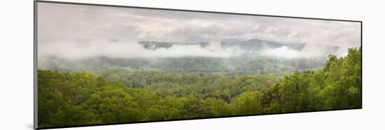 USA, Tennessee, Great Smoky Mountains National Park. Misty Morning Panoramic-Jaynes Gallery-Mounted Photographic Print