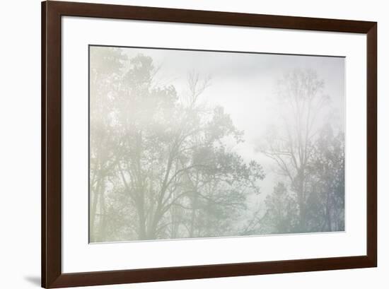 USA, Tennessee, Great Smoky Mountains National Park. Morning fog in Cades Cove-Ann Collins-Framed Photographic Print