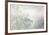 USA, Tennessee, Great Smoky Mountains National Park. Morning fog in Cades Cove-Ann Collins-Framed Photographic Print