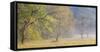 USA, Tennessee, Great Smoky Mountains National Park. Panoramic view of foggy morning in Cades Cove-Ann Collins-Framed Stretched Canvas