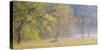 USA, Tennessee, Great Smoky Mountains National Park. Panoramic view of foggy morning in Cades Cove-Ann Collins-Stretched Canvas