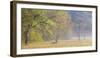 USA, Tennessee, Great Smoky Mountains National Park. Panoramic view of foggy morning in Cades Cove-Ann Collins-Framed Photographic Print