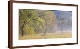 USA, Tennessee, Great Smoky Mountains National Park. Panoramic view of foggy morning in Cades Cove-Ann Collins-Framed Photographic Print