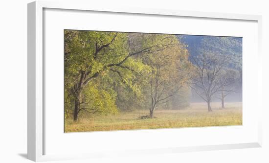 USA, Tennessee, Great Smoky Mountains National Park. Panoramic view of foggy morning in Cades Cove-Ann Collins-Framed Photographic Print