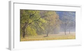 USA, Tennessee, Great Smoky Mountains National Park. Panoramic view of foggy morning in Cades Cove-Ann Collins-Framed Photographic Print