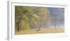 USA, Tennessee, Great Smoky Mountains National Park. Panoramic view of foggy morning in Cades Cove-Ann Collins-Framed Photographic Print