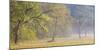 USA, Tennessee, Great Smoky Mountains National Park. Panoramic view of foggy morning in Cades Cove-Ann Collins-Mounted Photographic Print