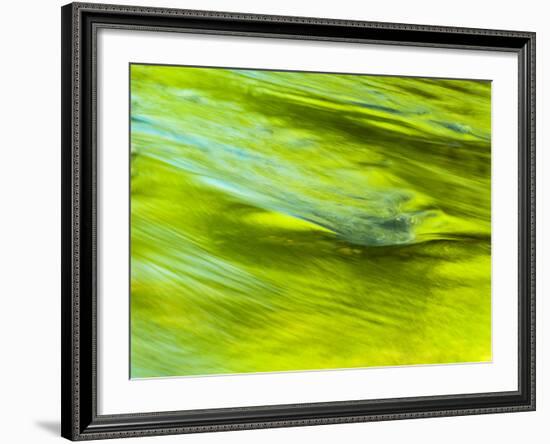 USA, Tennessee, Great Smoky Mountains National Park. Spring Reflection on the Little Pigeon River-Ann Collins-Framed Photographic Print