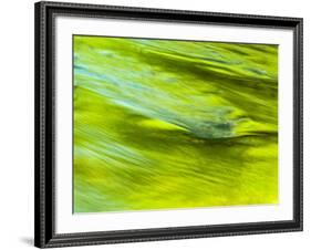 USA, Tennessee, Great Smoky Mountains National Park. Spring Reflection on the Little Pigeon River-Ann Collins-Framed Photographic Print