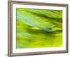 USA, Tennessee, Great Smoky Mountains National Park. Spring Reflection on the Little Pigeon River-Ann Collins-Framed Photographic Print