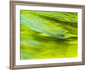 USA, Tennessee, Great Smoky Mountains National Park. Spring Reflection on the Little Pigeon River-Ann Collins-Framed Photographic Print