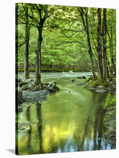 USA, Tennessee, Great Smoky Mountains National Park, Spring Reflections on Little Pigeon River-Ann Collins-Stretched Canvas