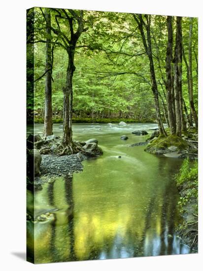 USA, Tennessee, Great Smoky Mountains National Park, Spring Reflections on Little Pigeon River-Ann Collins-Stretched Canvas