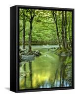 USA, Tennessee, Great Smoky Mountains National Park, Spring Reflections on Little Pigeon River-Ann Collins-Framed Stretched Canvas