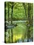 USA, Tennessee, Great Smoky Mountains National Park, Spring Reflections on Little Pigeon River-Ann Collins-Stretched Canvas