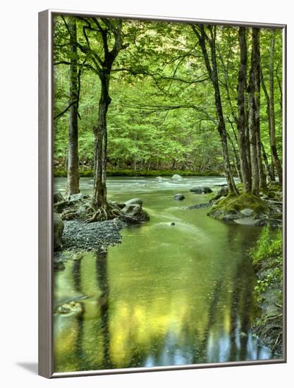 USA, Tennessee, Great Smoky Mountains National Park, Spring Reflections on Little Pigeon River-Ann Collins-Framed Photographic Print