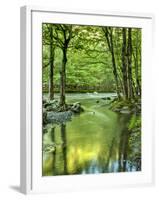 USA, Tennessee, Great Smoky Mountains National Park, Spring Reflections on Little Pigeon River-Ann Collins-Framed Photographic Print