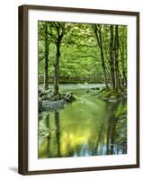 USA, Tennessee, Great Smoky Mountains National Park, Spring Reflections on Little Pigeon River-Ann Collins-Framed Photographic Print