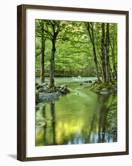 USA, Tennessee, Great Smoky Mountains National Park, Spring Reflections on Little Pigeon River-Ann Collins-Framed Photographic Print