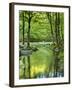 USA, Tennessee, Great Smoky Mountains National Park, Spring Reflections on Little Pigeon River-Ann Collins-Framed Photographic Print