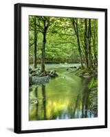 USA, Tennessee, Great Smoky Mountains National Park, Spring Reflections on Little Pigeon River-Ann Collins-Framed Photographic Print