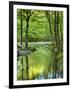 USA, Tennessee, Great Smoky Mountains National Park, Spring Reflections on Little Pigeon River-Ann Collins-Framed Photographic Print