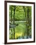 USA, Tennessee, Great Smoky Mountains National Park, Spring Reflections on Little Pigeon River-Ann Collins-Framed Photographic Print