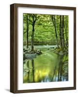 USA, Tennessee, Great Smoky Mountains National Park, Spring Reflections on Little Pigeon River-Ann Collins-Framed Photographic Print