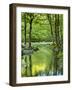 USA, Tennessee, Great Smoky Mountains National Park, Spring Reflections on Little Pigeon River-Ann Collins-Framed Photographic Print