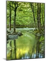 USA, Tennessee, Great Smoky Mountains National Park, Spring Reflections on Little Pigeon River-Ann Collins-Mounted Photographic Print