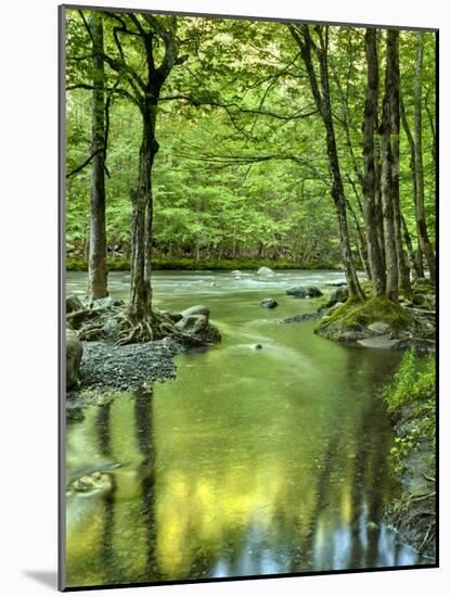 USA, Tennessee, Great Smoky Mountains National Park, Spring Reflections on Little Pigeon River-Ann Collins-Mounted Photographic Print