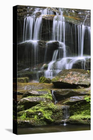 USA, Tennessee, Great Smoky Mountains National Park. Waterfall.-Jaynes Gallery-Stretched Canvas