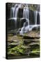 USA, Tennessee, Great Smoky Mountains National Park. Waterfall.-Jaynes Gallery-Stretched Canvas