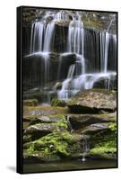 USA, Tennessee, Great Smoky Mountains National Park. Waterfall.-Jaynes Gallery-Framed Stretched Canvas